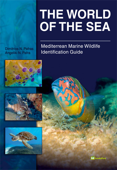 The World of the Sea Mediterranean Marine Wildlife Identification Guide